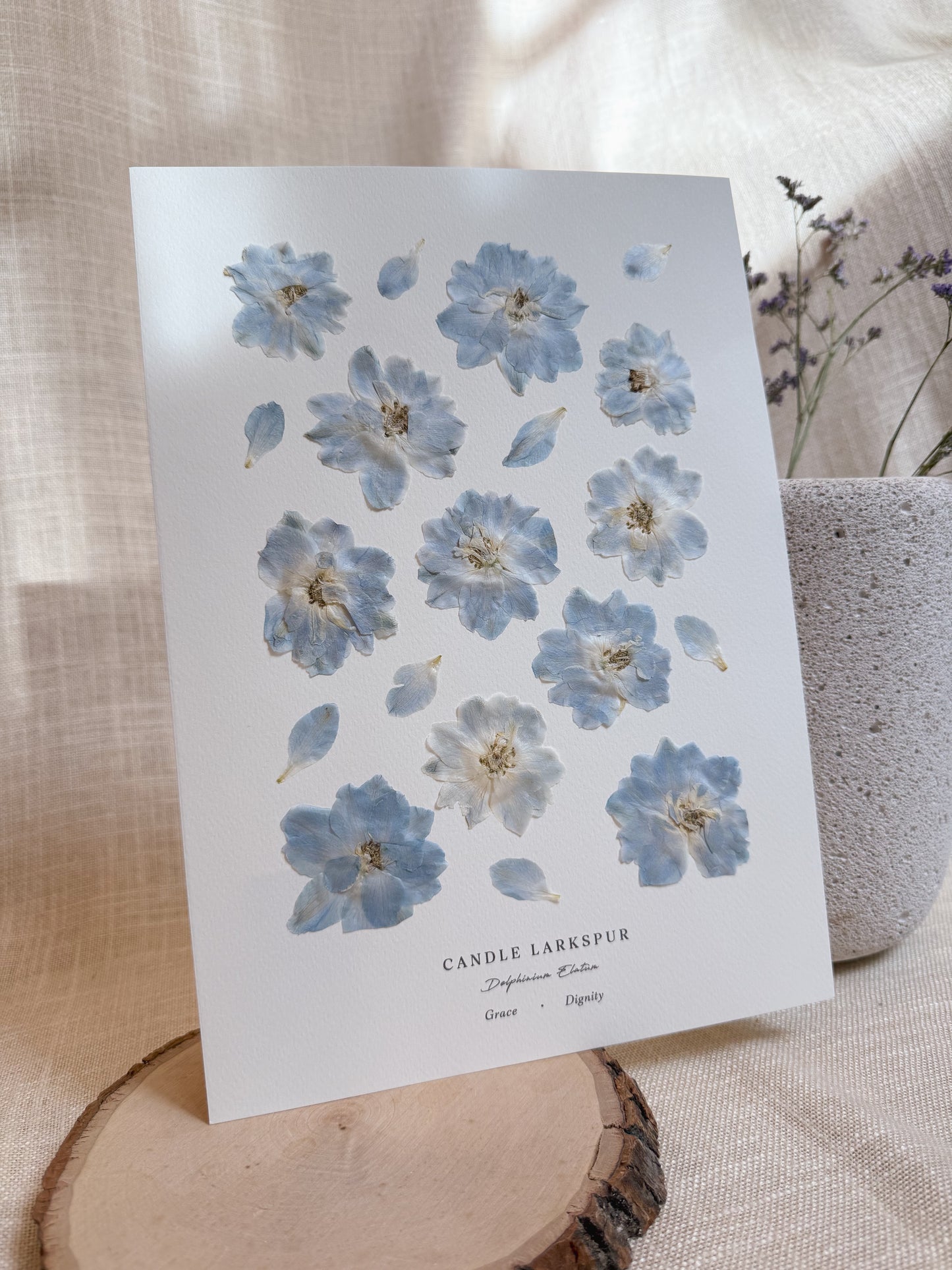 Love Language of Flowers: Larkspur (Grace & Dignity)