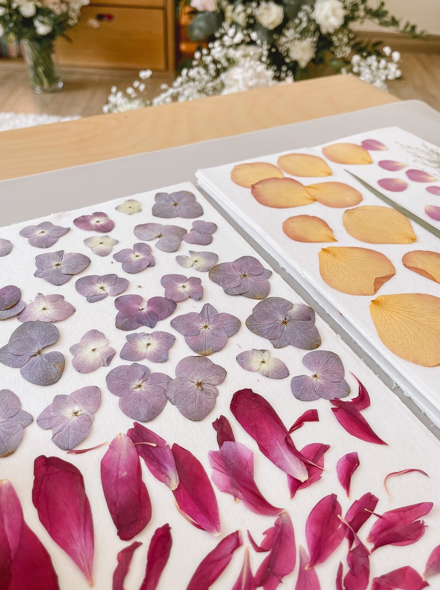 Various flowers being preserved by pressing