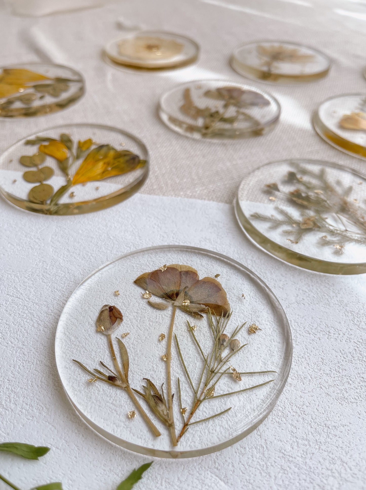 Set of 6 Pressed Flower Round Resin Coaster