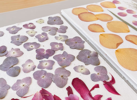 The Enduring Craft Of Pressed Flower Art: A Cultural Journey Across Time And Place