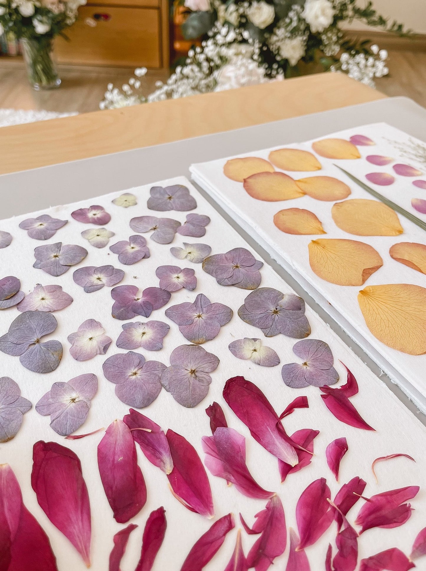 Various flowers being preserved by pressing 